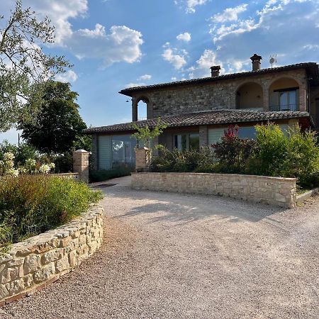 Agriturismo Fattoria Di Monticello San Venanzo Ngoại thất bức ảnh