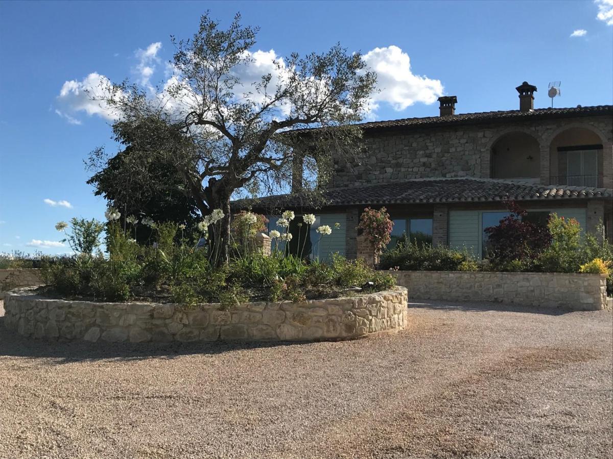 Agriturismo Fattoria Di Monticello San Venanzo Ngoại thất bức ảnh