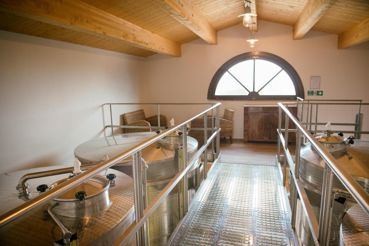Agriturismo Fattoria Di Monticello San Venanzo Ngoại thất bức ảnh
