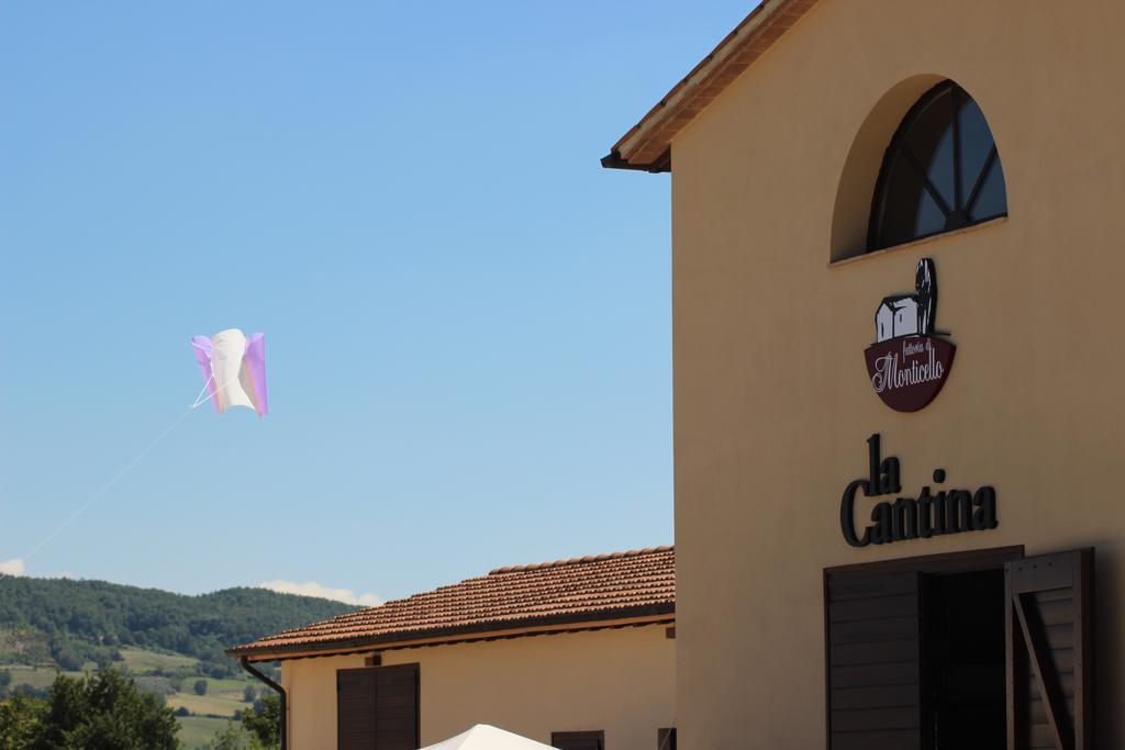 Agriturismo Fattoria Di Monticello San Venanzo Ngoại thất bức ảnh