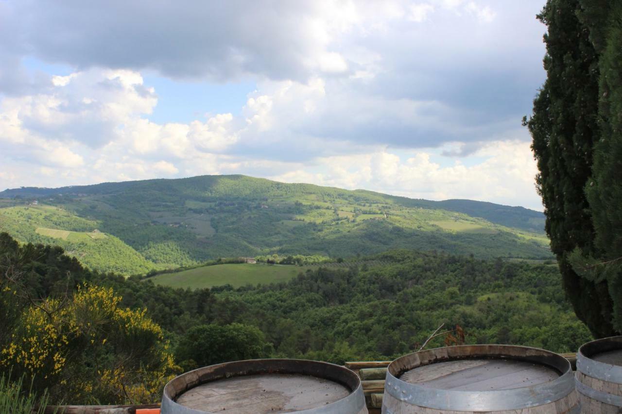 Agriturismo Fattoria Di Monticello San Venanzo Ngoại thất bức ảnh