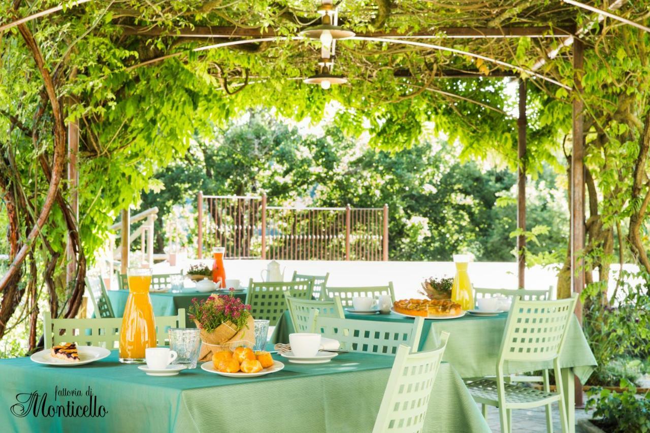 Agriturismo Fattoria Di Monticello San Venanzo Ngoại thất bức ảnh