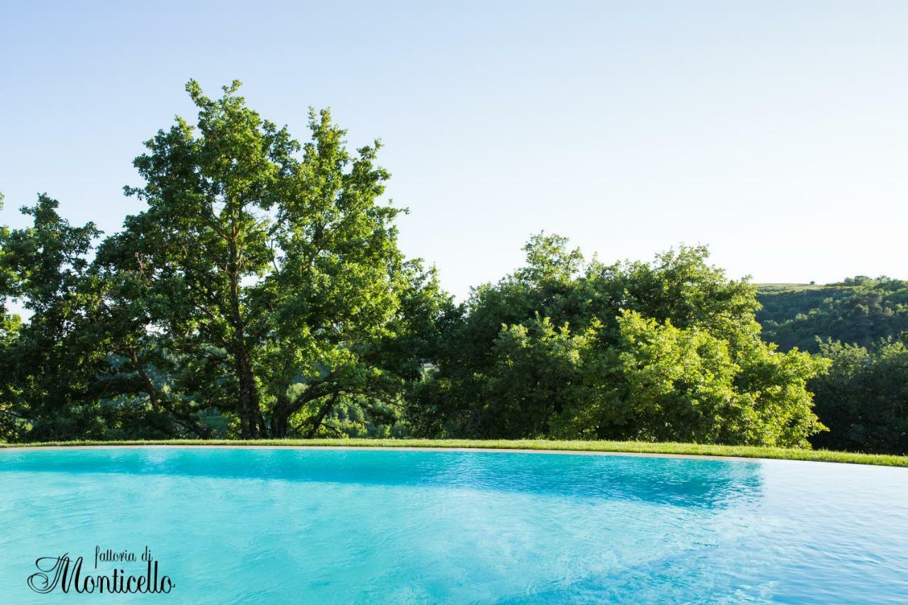 Agriturismo Fattoria Di Monticello San Venanzo Ngoại thất bức ảnh